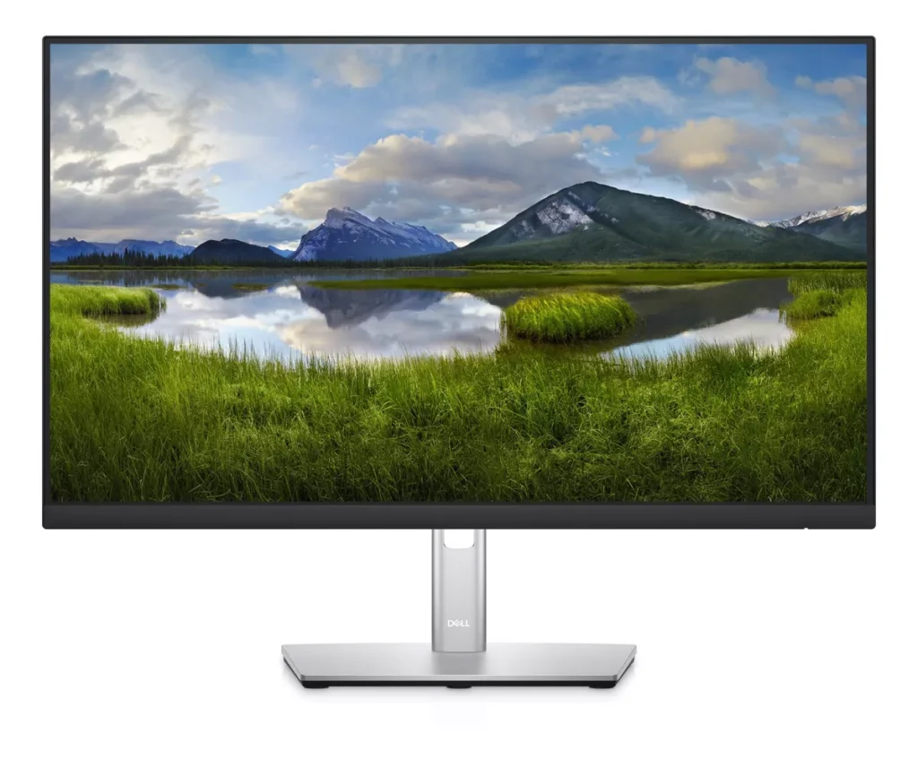 Monitor Dell Full Hd P2422h